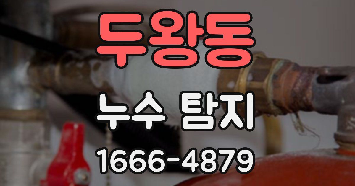 두왕동 누수 탐지
