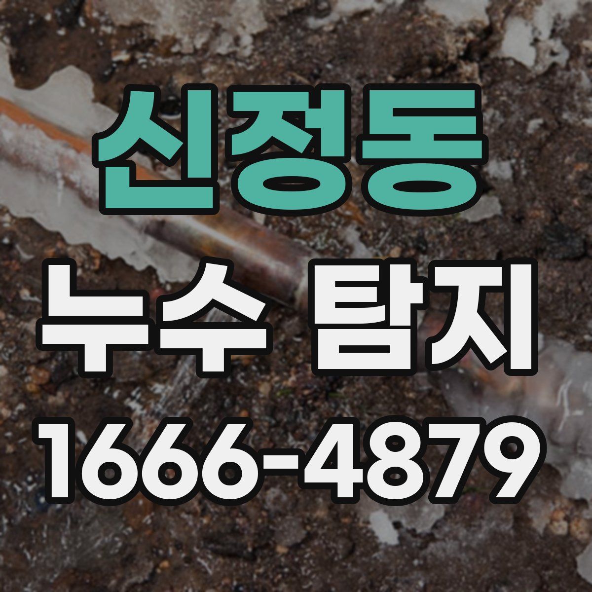신정동 누수 탐지