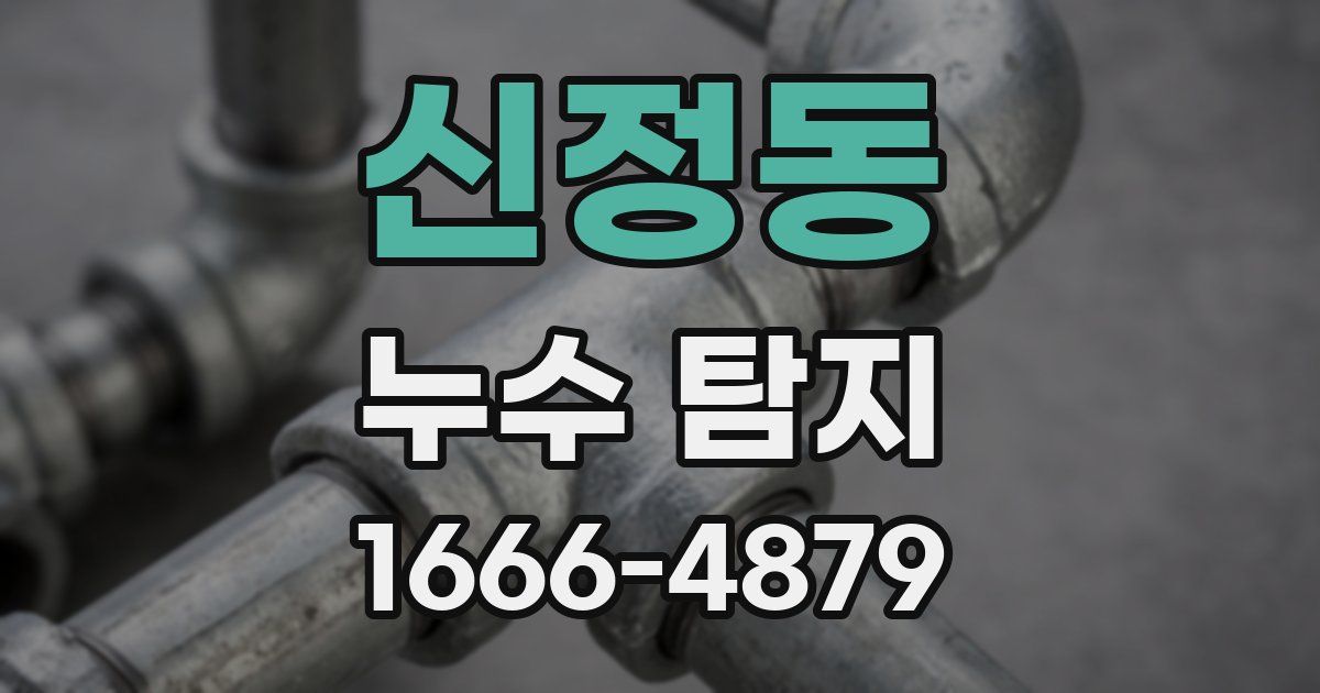 신정동 누수 탐지