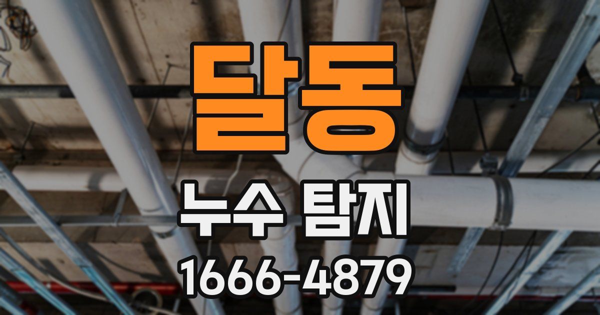 달동 누수 탐지