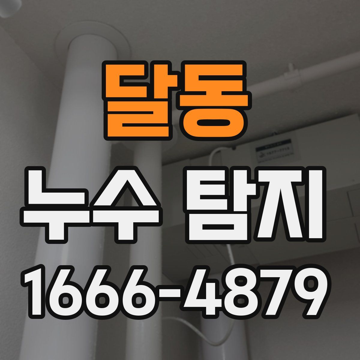 달동 누수 탐지