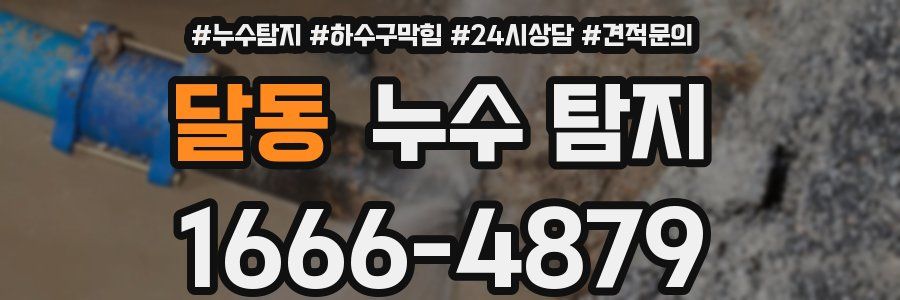 달동 누수 탐지