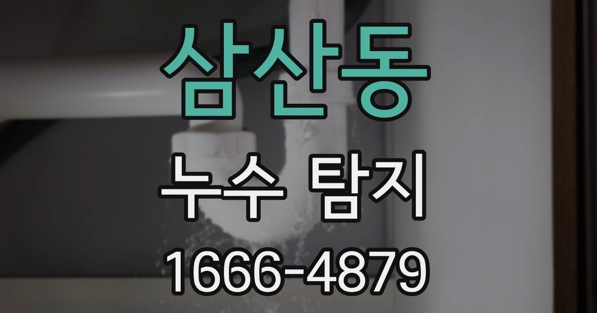 삼산동 누수 탐지