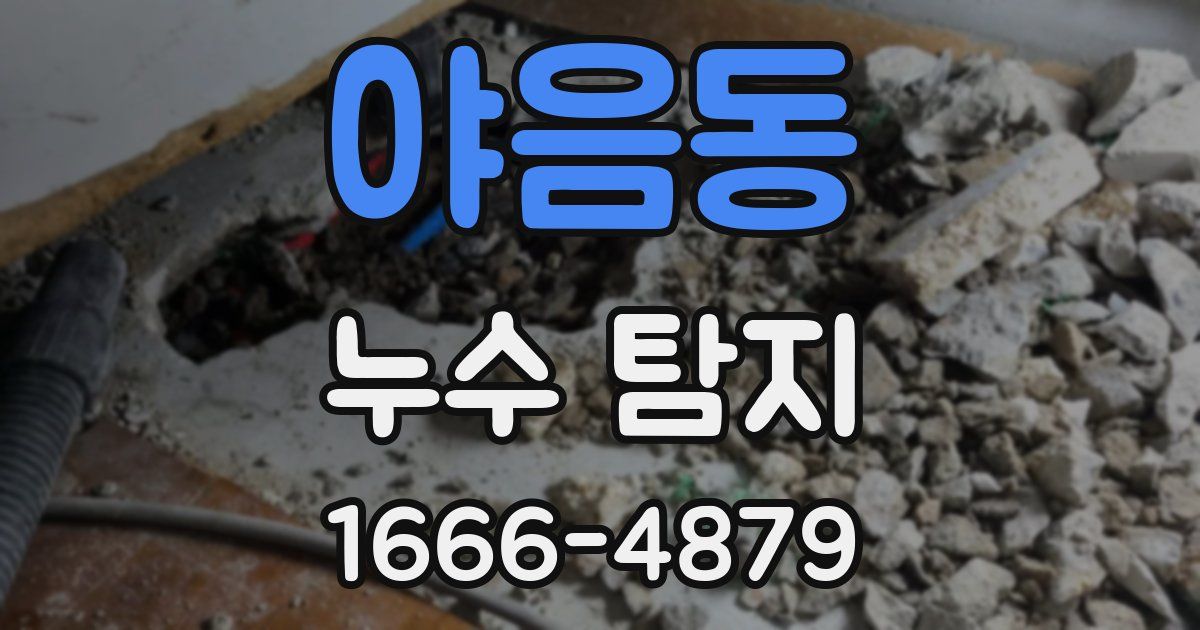 야음동 누수 탐지