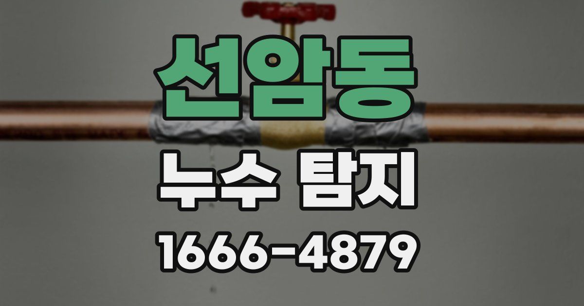 선암동 누수 탐지