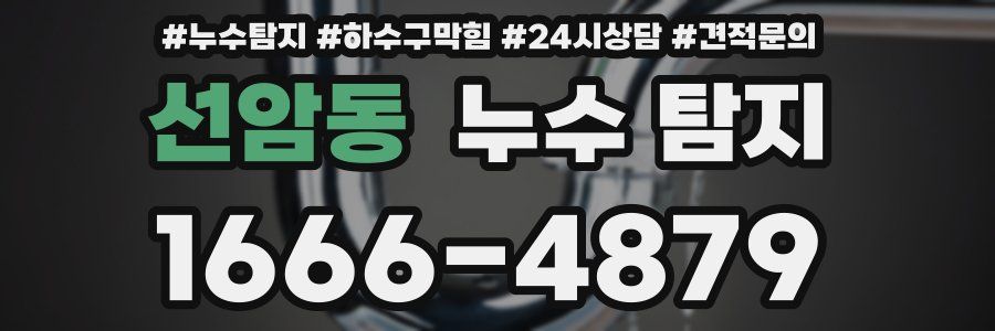 선암동 누수 탐지