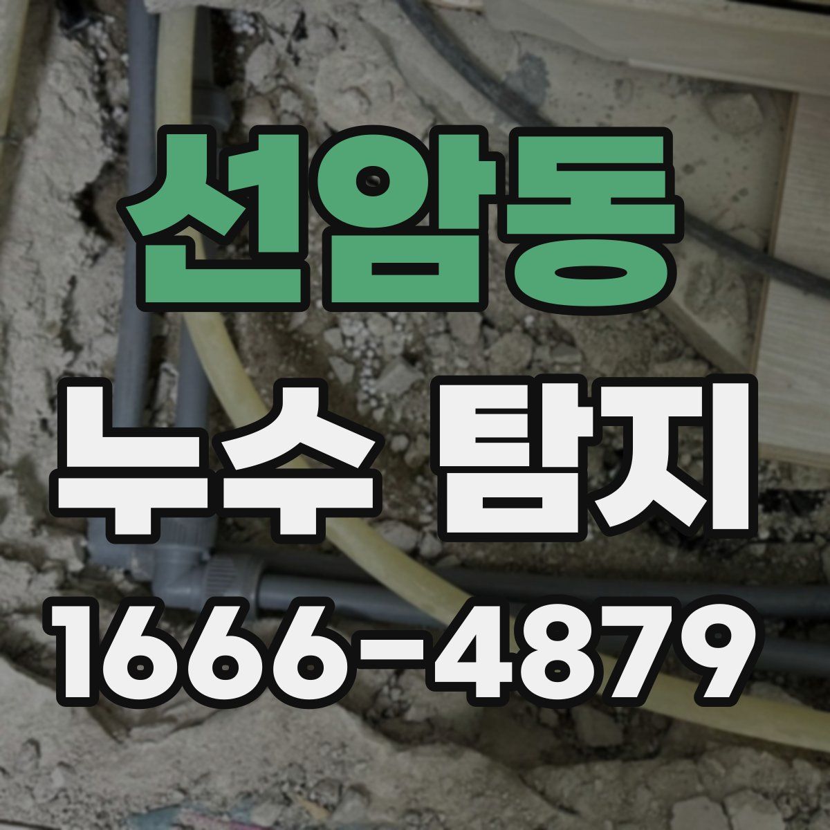 선암동 누수 탐지