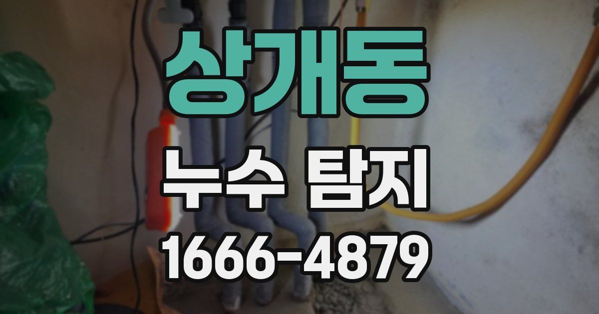 상개동 누수 탐지