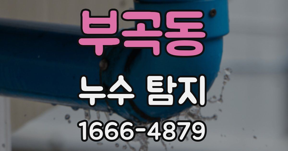 부곡동 누수 탐지