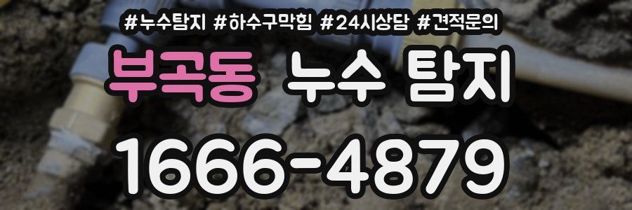 부곡동 누수 탐지