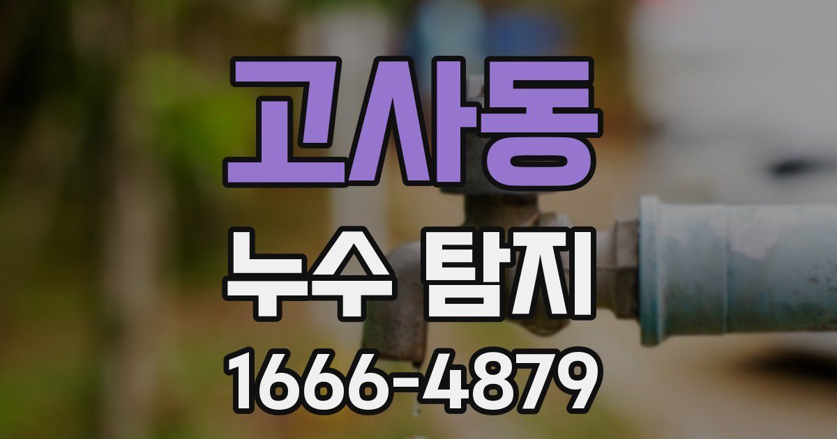 고사동 누수 탐지
