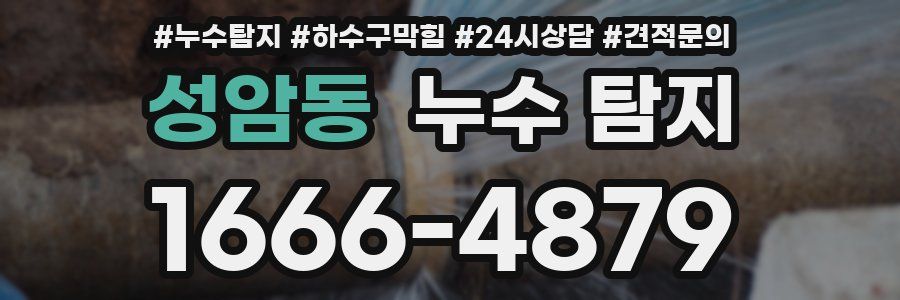성암동 누수 탐지