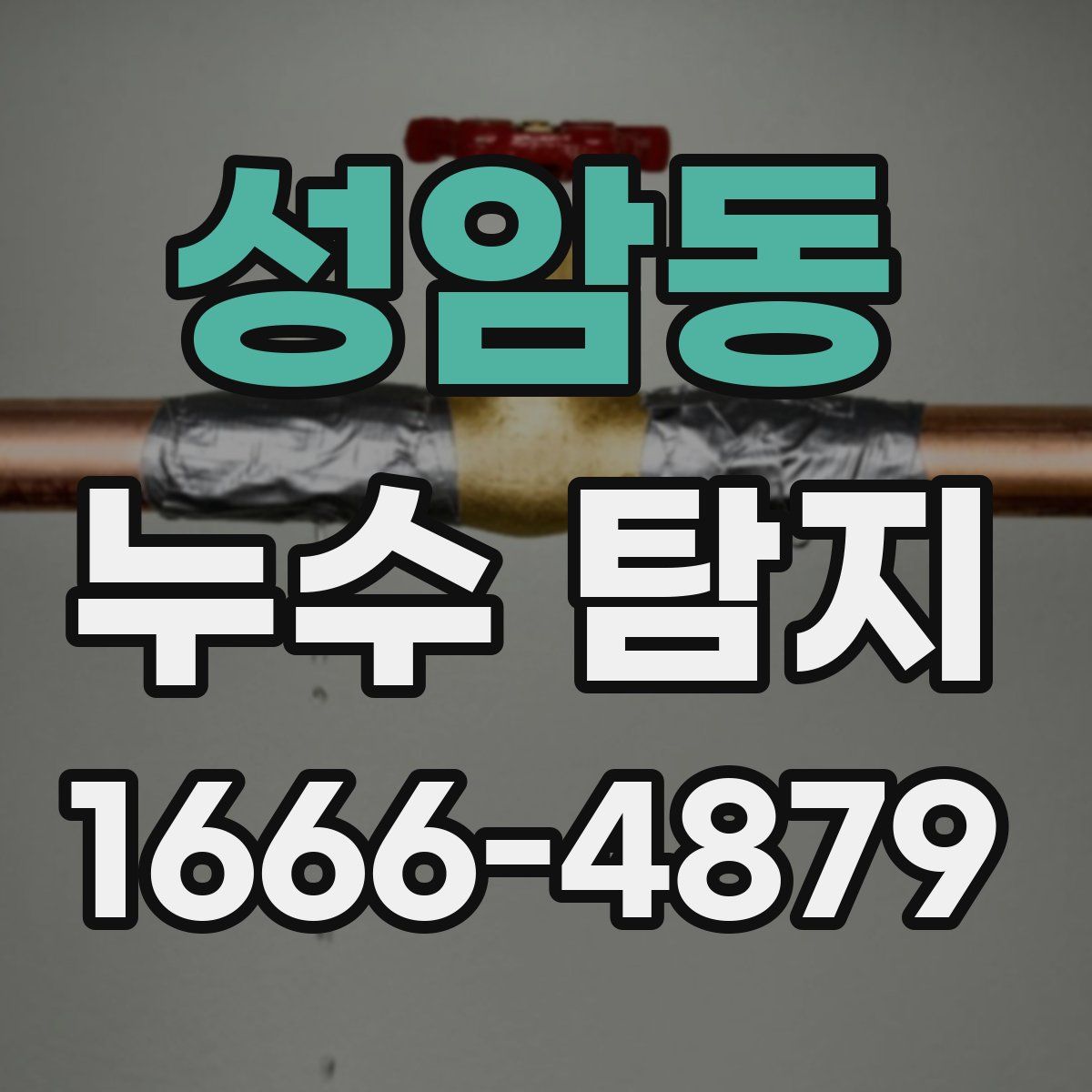 성암동 누수 탐지