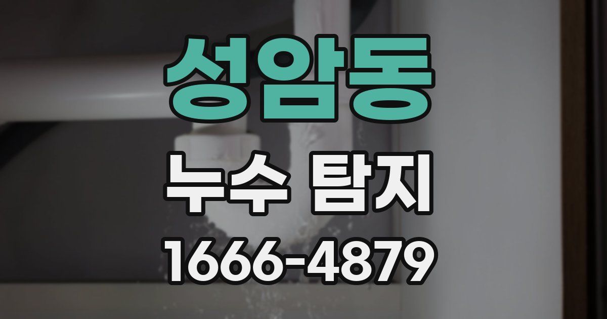 성암동 누수 탐지