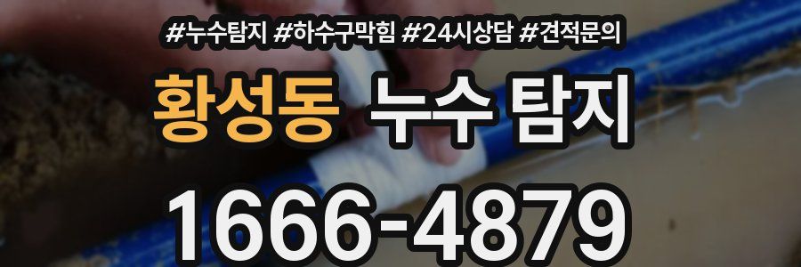 황성동 누수 탐지