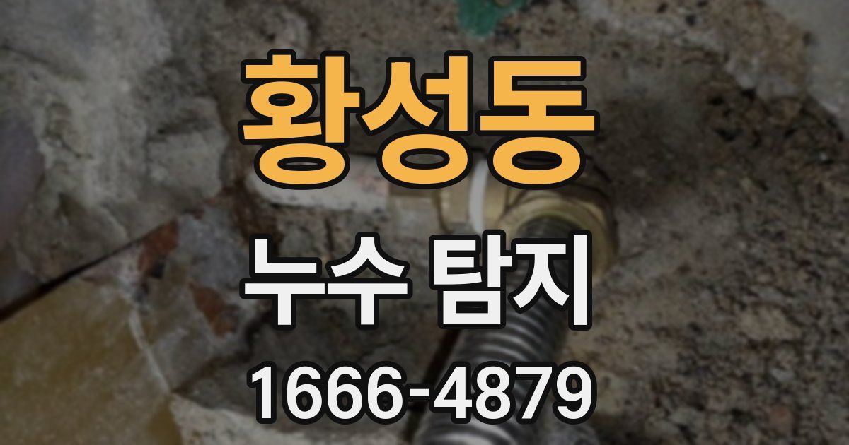 황성동 누수 탐지