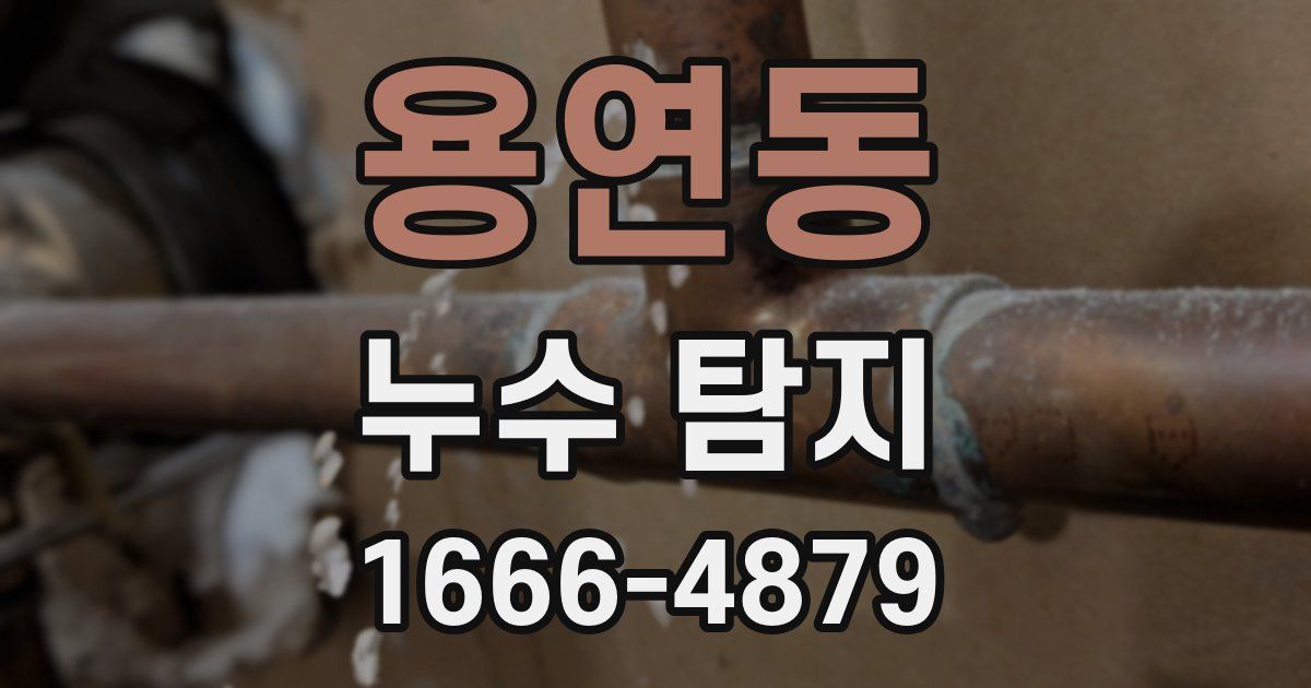 용연동 누수 탐지