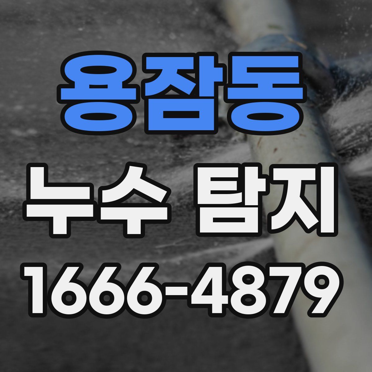 용잠동 누수 탐지