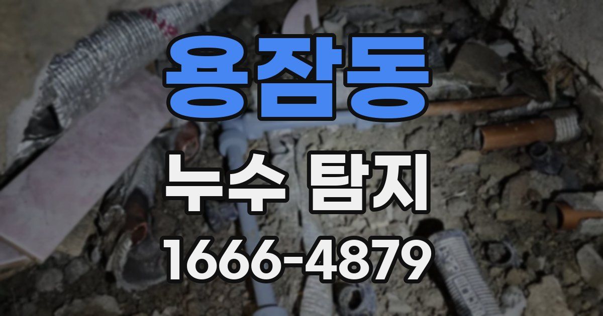 용잠동 누수 탐지