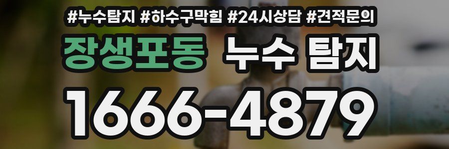 장생포동 누수 탐지