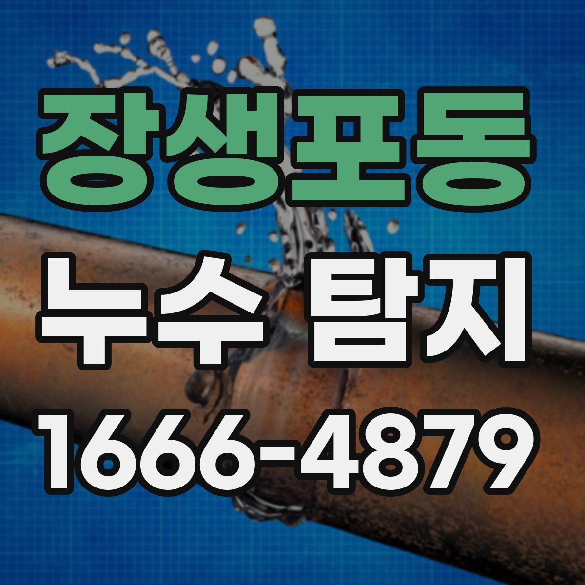 장생포동 누수 탐지