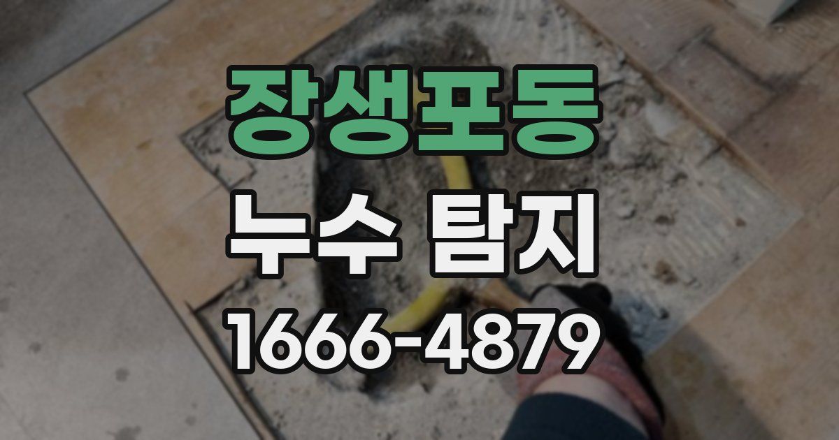 장생포동 누수 탐지