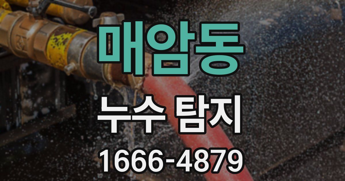 매암동 누수 탐지