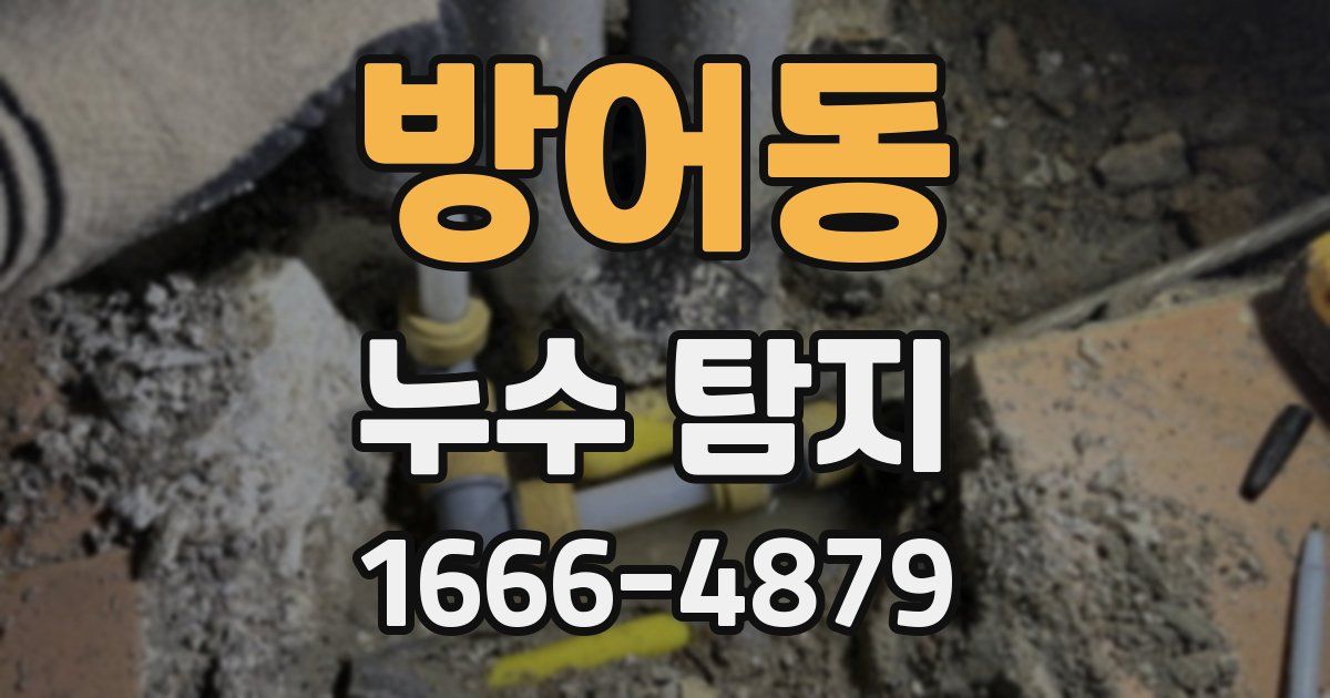 방어동 누수 탐지