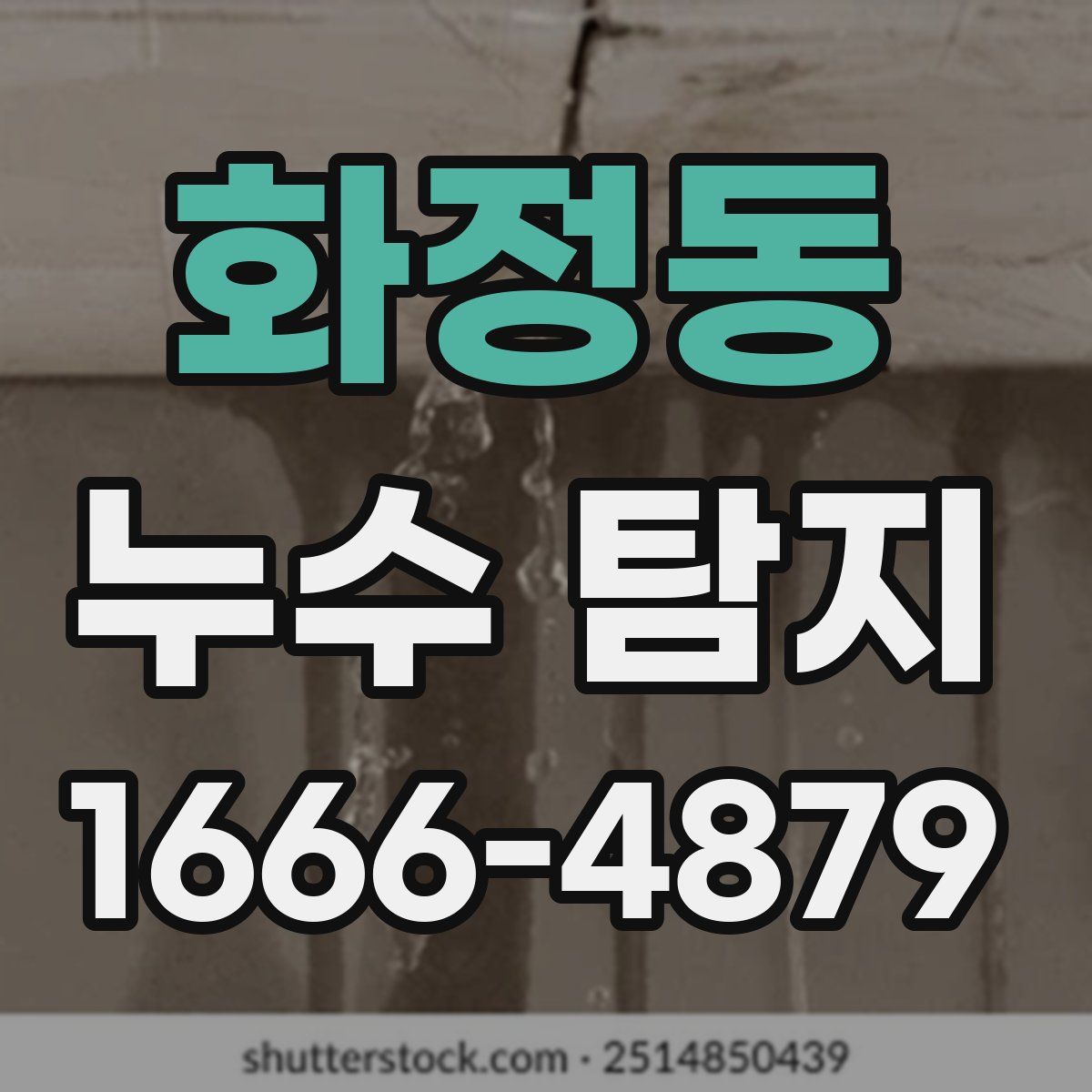 화정동 누수 탐지