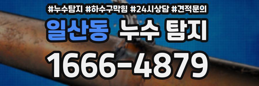 일산동 누수 탐지