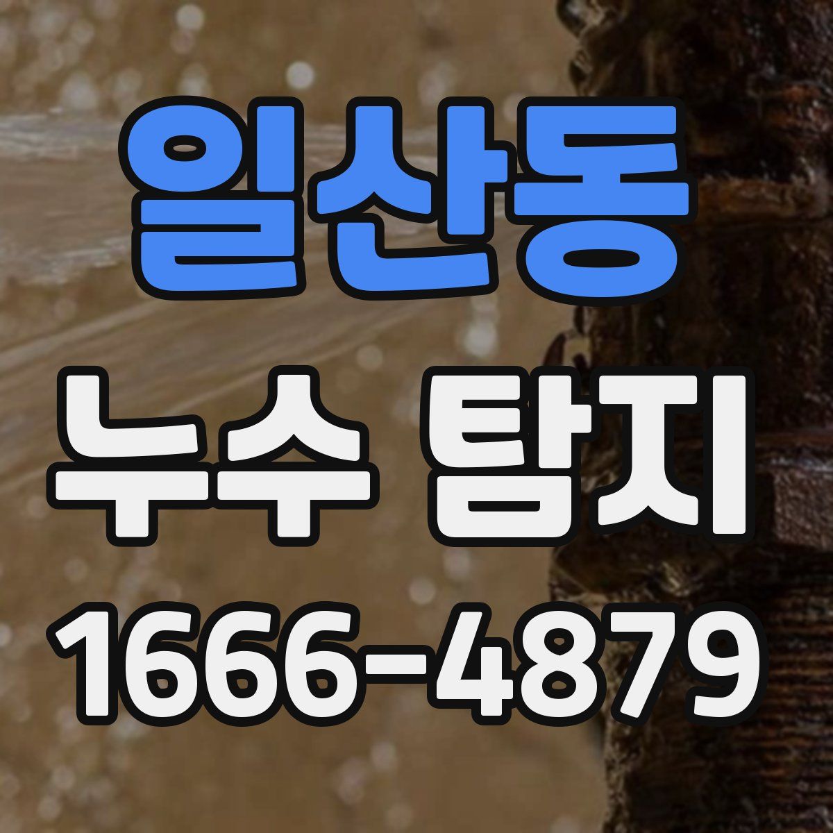 일산동 누수 탐지