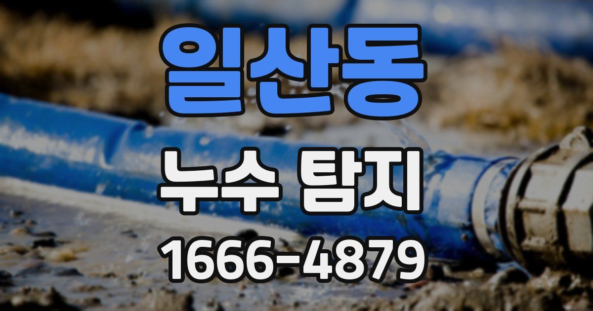 일산동 누수 탐지
