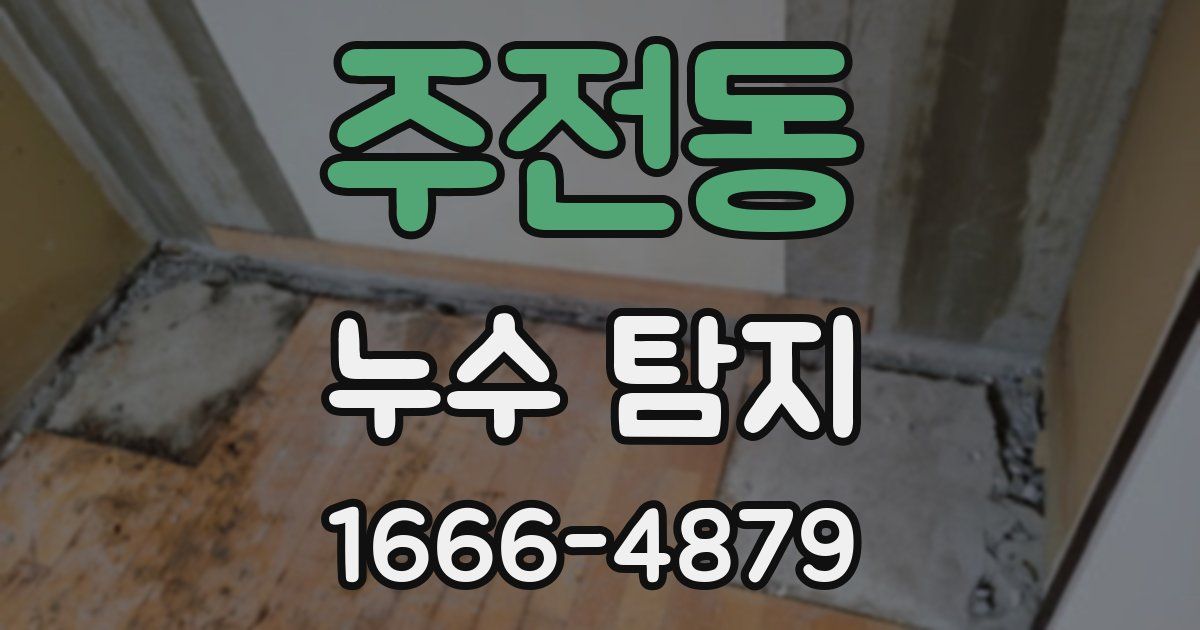 주전동 누수 탐지