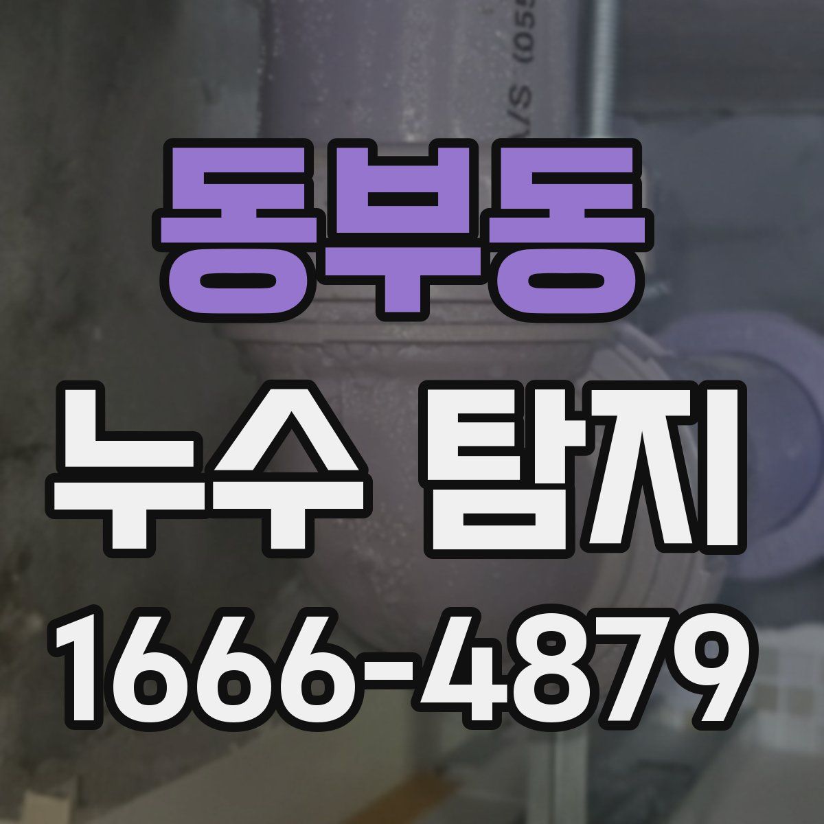 동부동 누수 탐지