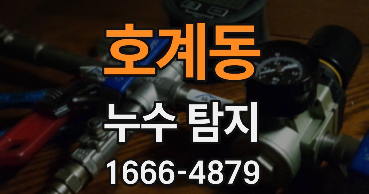 호계동 누수 탐지