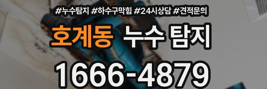 호계동 누수 탐지