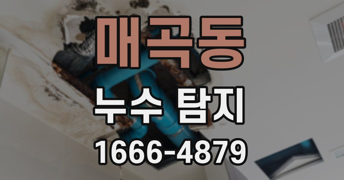 매곡동 누수 탐지