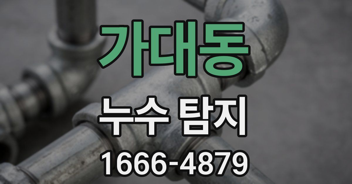 가대동 누수 탐지