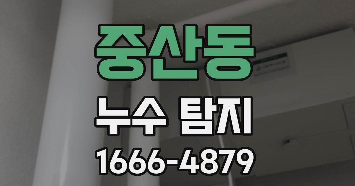 중산동 누수 탐지