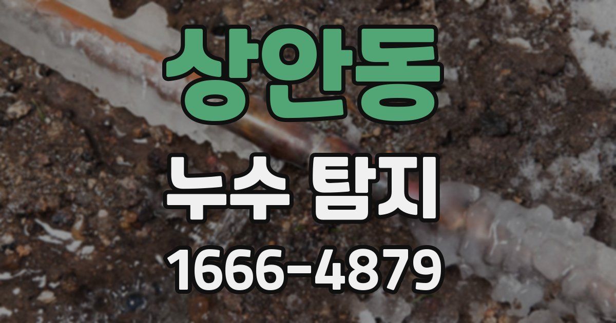 상안동 누수 탐지