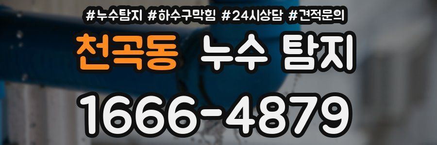 천곡동 누수 탐지