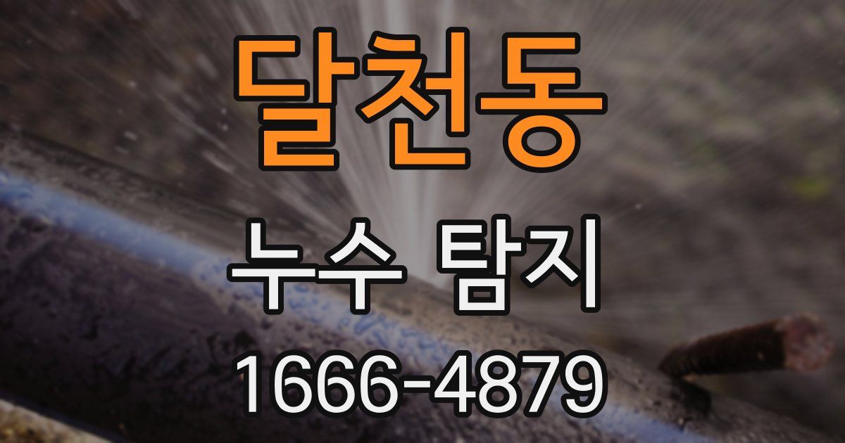 달천동 누수 탐지