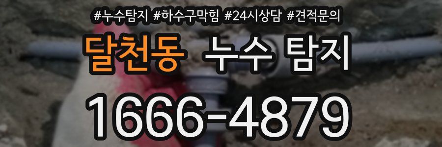 달천동 누수 탐지