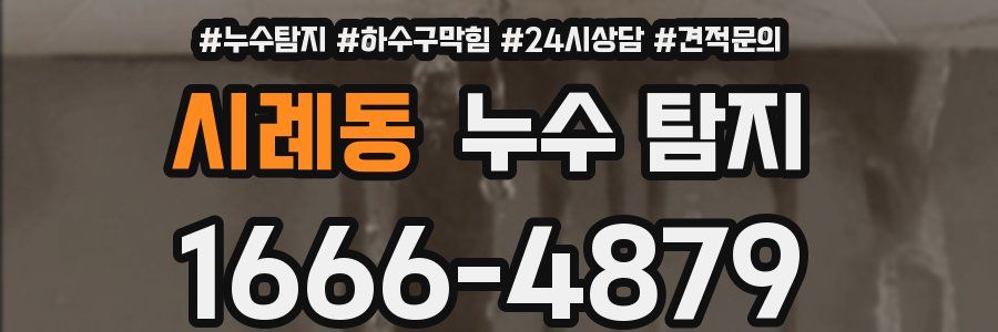 시례동 누수 탐지