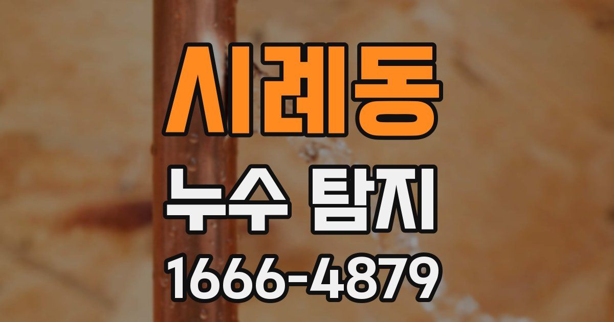 시례동 누수 탐지