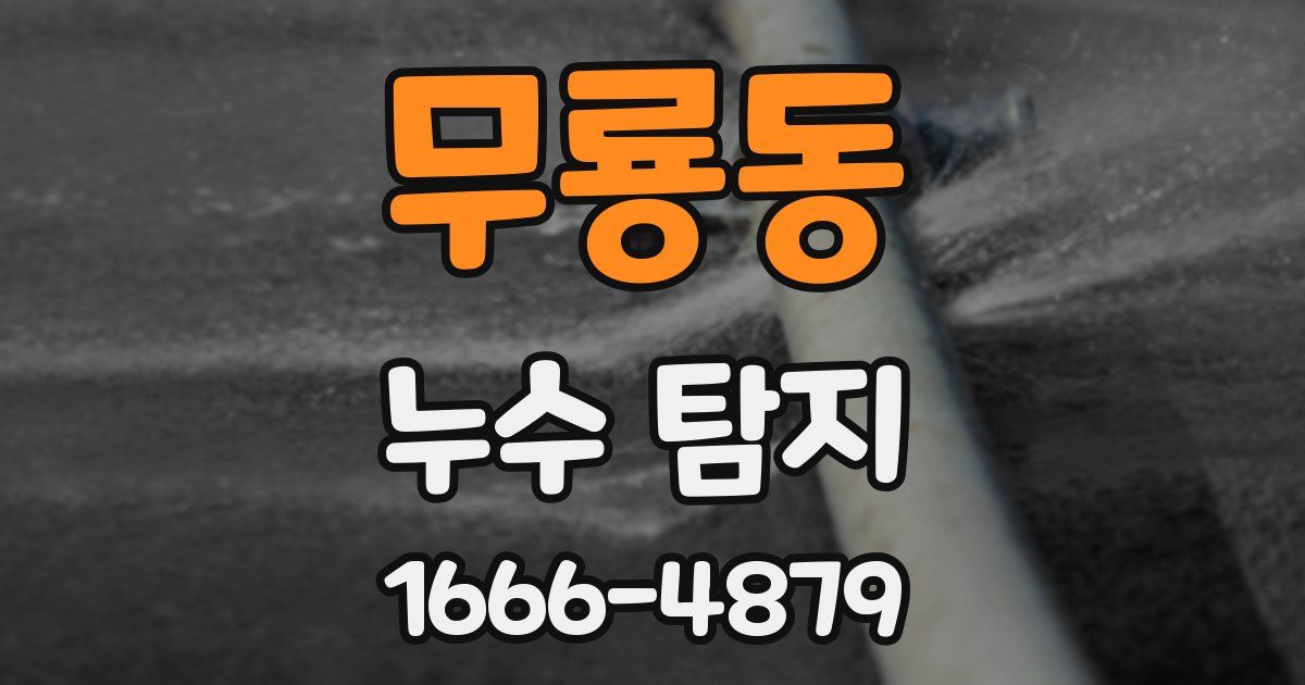 무룡동 누수 탐지