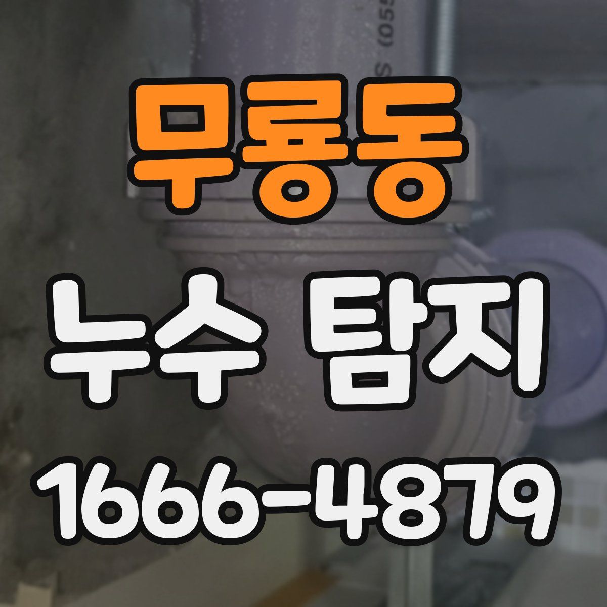 무룡동 누수 탐지