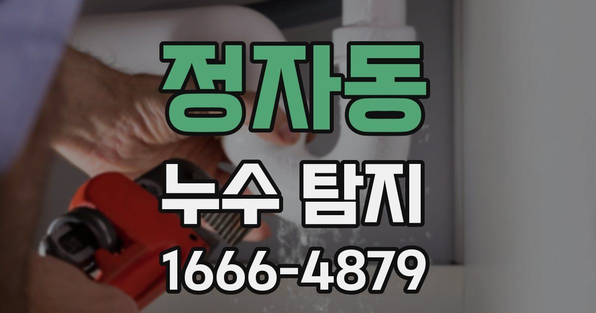 정자동 누수 탐지