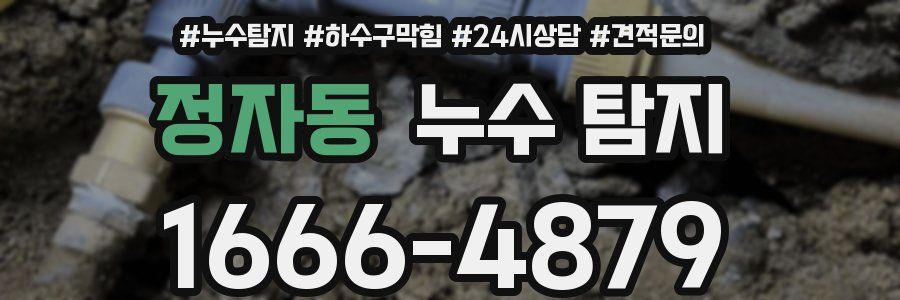 정자동 누수 탐지