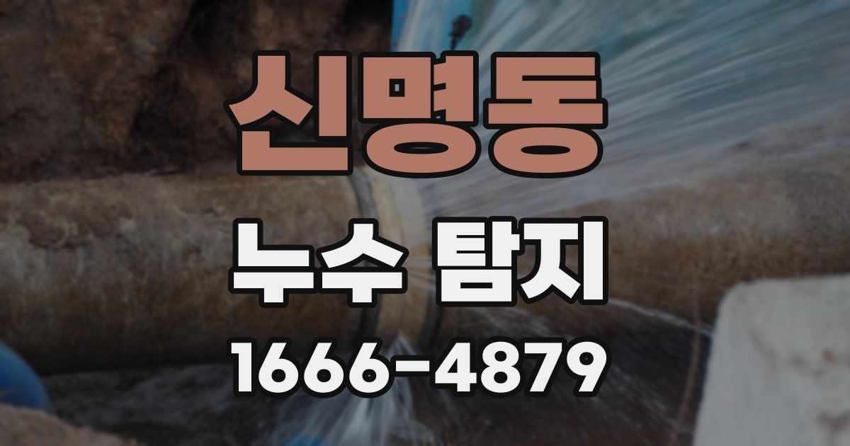 신명동 누수 탐지